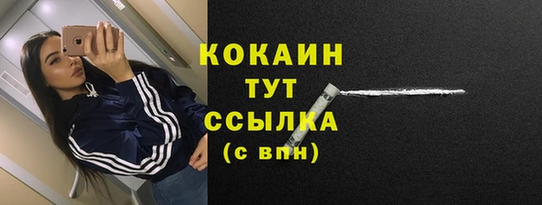 тгк Богданович