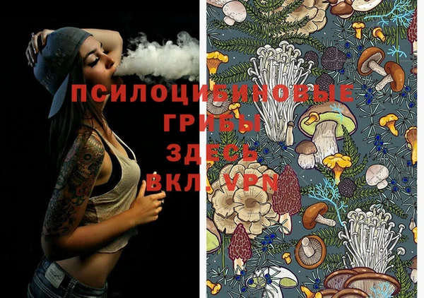 тгк Богданович