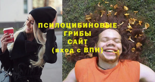 мескалин Богородск