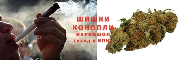 тгк Богданович