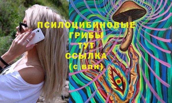 амфетамин Богородицк