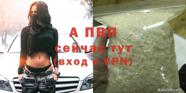 тгк Богданович