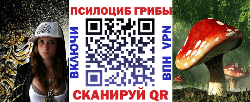 Галлюциногенные грибы Cubensis где купить Бутурлиновка